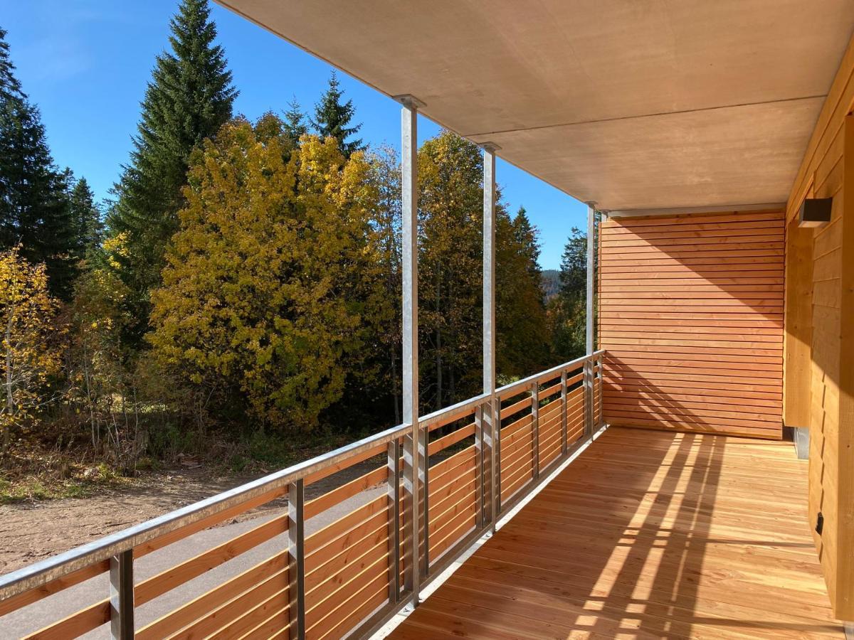 Wiesenquell Apartment Feldberg フェルトベルク エクステリア 写真