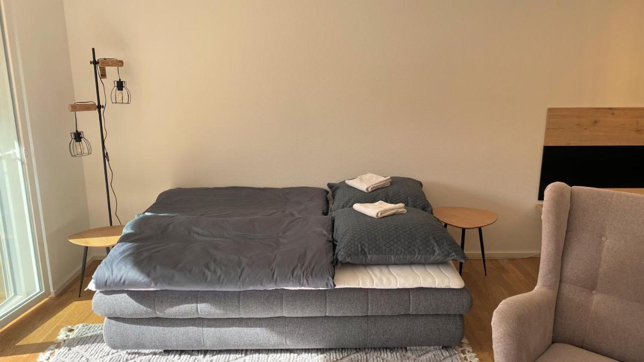 Wiesenquell Apartment Feldberg フェルトベルク エクステリア 写真