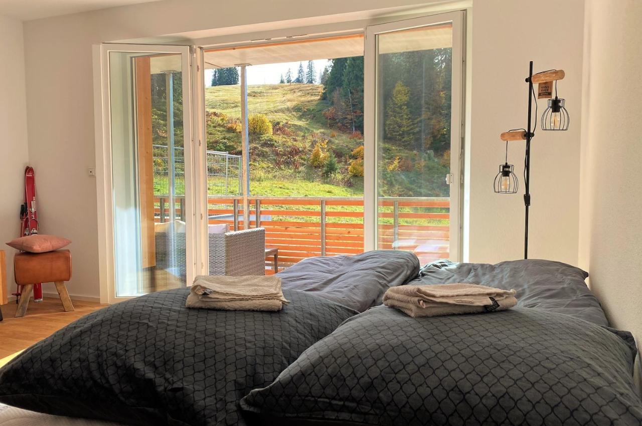 Wiesenquell Apartment Feldberg フェルトベルク エクステリア 写真