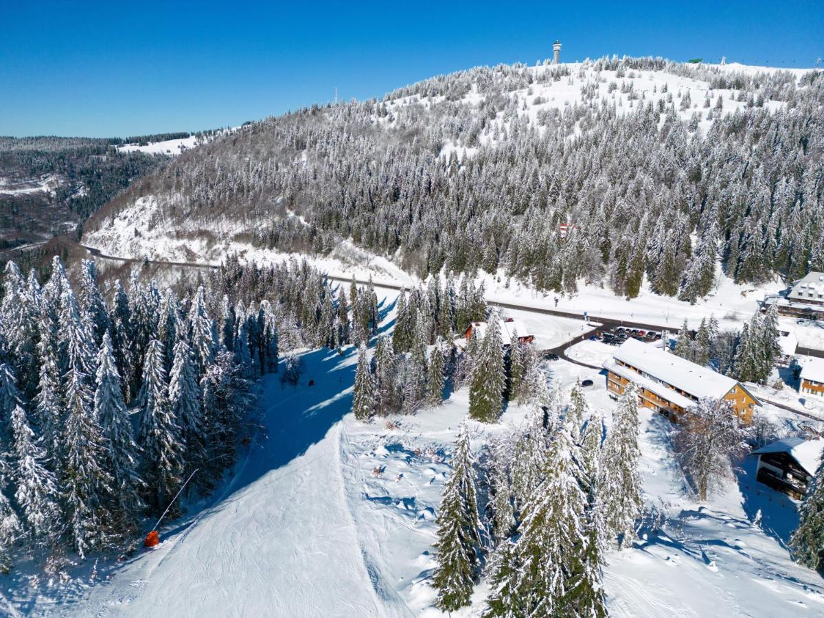 Wiesenquell Apartment Feldberg フェルトベルク エクステリア 写真